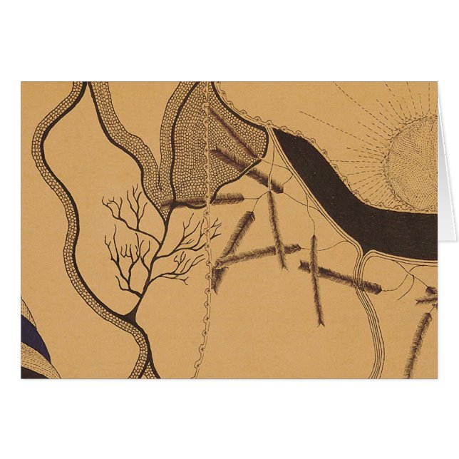 John Haughton Card 5 (Front Horizontal)