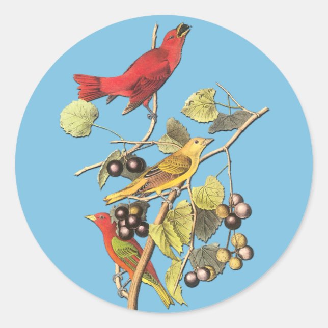 John J Audubon Summer Tanager Bird Art Stickers (Front)