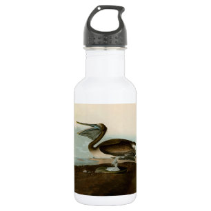 John James Audubon Brown Pelican Artwork Painting 532 Ml Water Bottle
