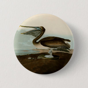 John James Audubon Brown Pelican Artwork Painting 6 Cm Round Badge