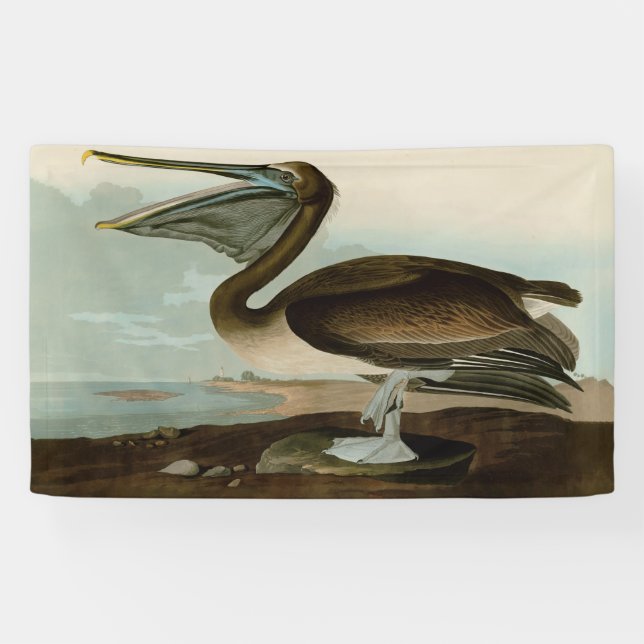 John James Audubon Brown Pelican Artwork Painting Banner (Horizontal)