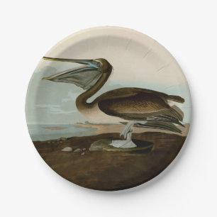 John James Audubon Brown Pelican Artwork Painting Paper Plate