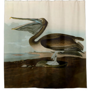 John James Audubon Brown Pelican Artwork Painting Shower Curtain