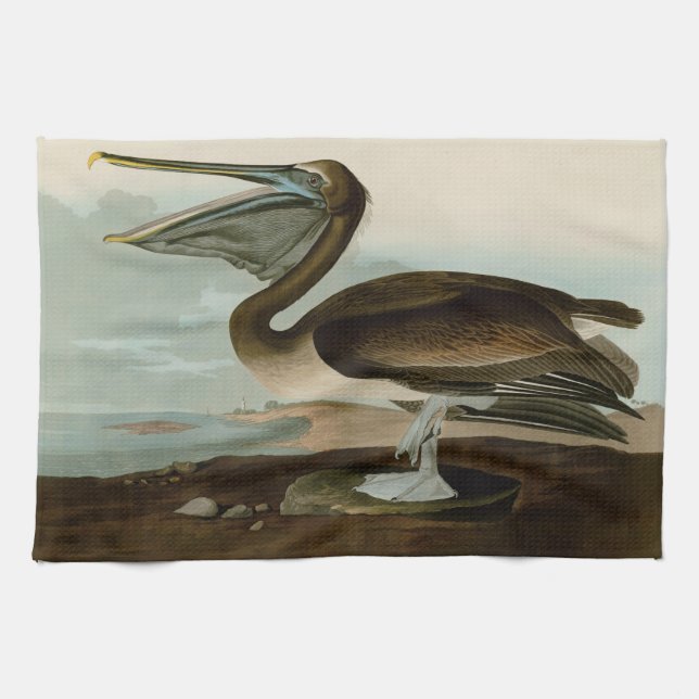 John James Audubon Brown Pelican Artwork Painting Tea Towel (Horizontal)