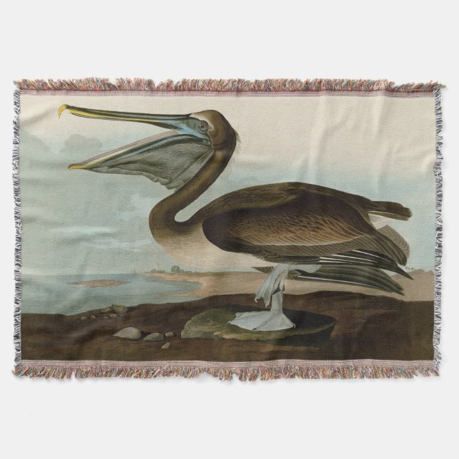 John James Audubon Brown Pelican Artwork Painting Throw Blanket (Front)