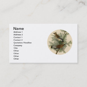John James Audubon Cedar Waxwing Bird Print Business Card