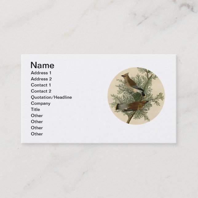 John James Audubon Cedar Waxwing Bird Print Business Card (Front)
