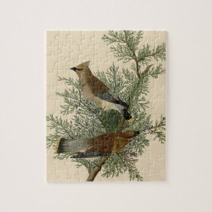 John James Audubon Cedar Waxwing Bird Print Jigsaw Puzzle