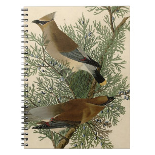 John James Audubon Cedar Waxwing Bird Print Notebook