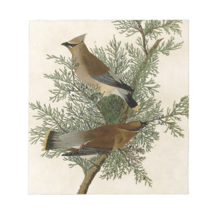 John James Audubon Cedar Waxwing Bird Print Notepad