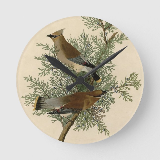 John James Audubon Cedar Waxwing Bird Print Round Clock (Front)
