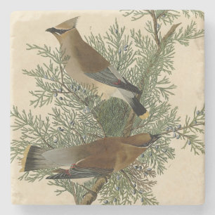John James Audubon Cedar Waxwing Bird Print Stone Coaster