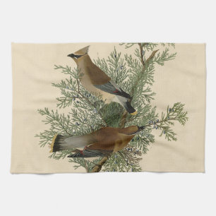 John James Audubon Cedar Waxwing Bird Print Tea Towel