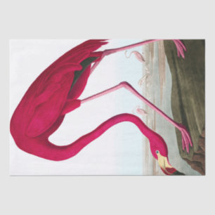 John James Audubon Flamingo Pink Artwork Decoupage Tissue Paper