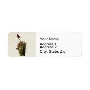 John James Audubon Marsh Wren Bird Print
