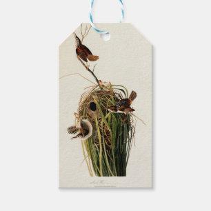 John James Audubon Marsh Wren Bird Print Gift Tags