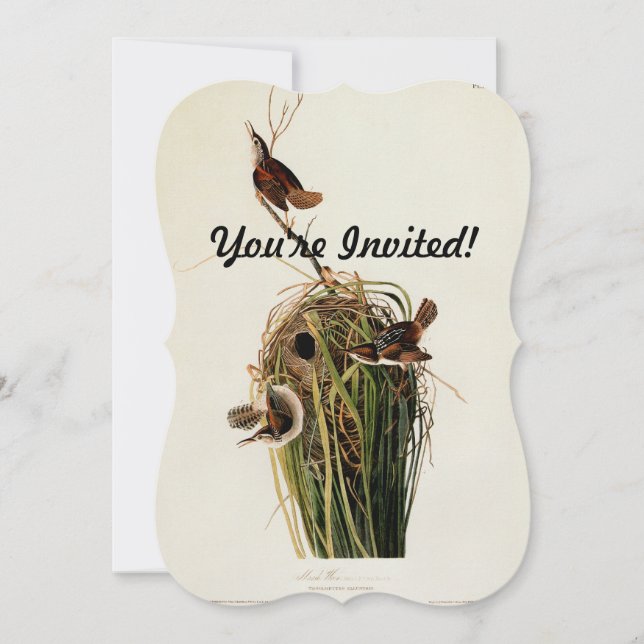 John James Audubon Marsh Wren Bird Print Invitation (Front)