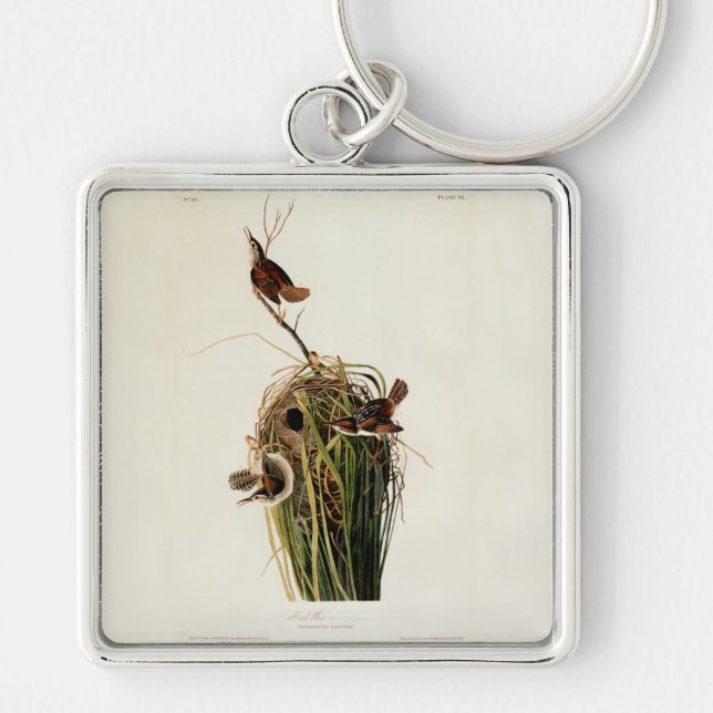John James Audubon Marsh Wren Bird Print Key Ring (Front)