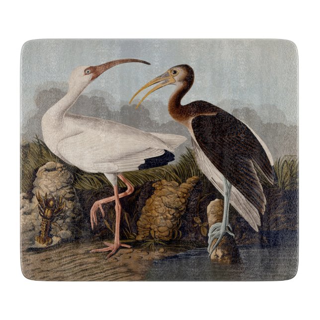 John James Audubon White Ibis Bird Print Classic Cutting Board (Front)