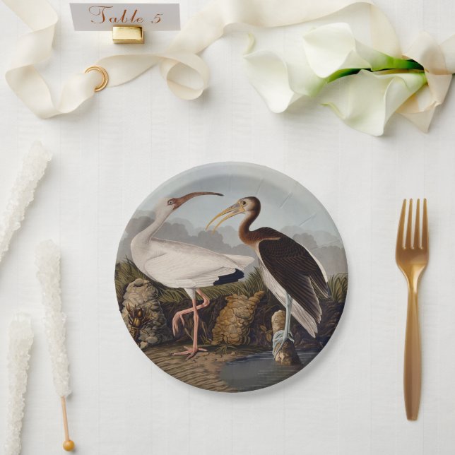 John James Audubon White Ibis Bird Print Classic Paper Plate (Wedding)
