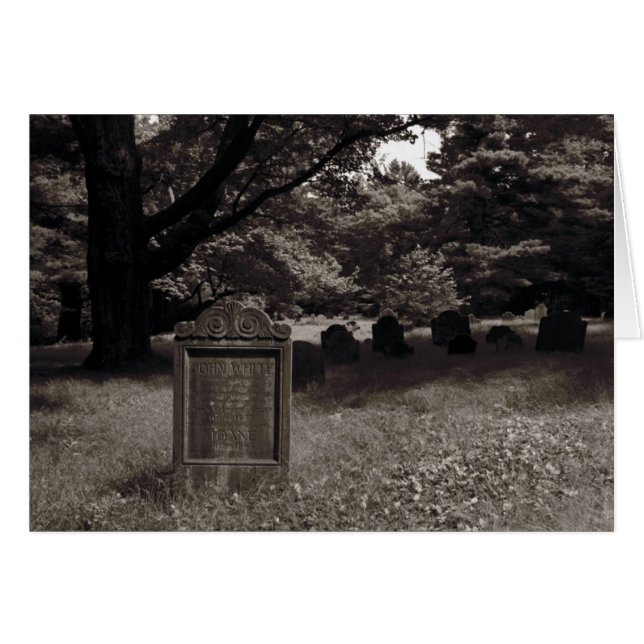 John, Joane, White (Front Horizontal)