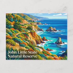 John Little State Natural Reserve California Postcard