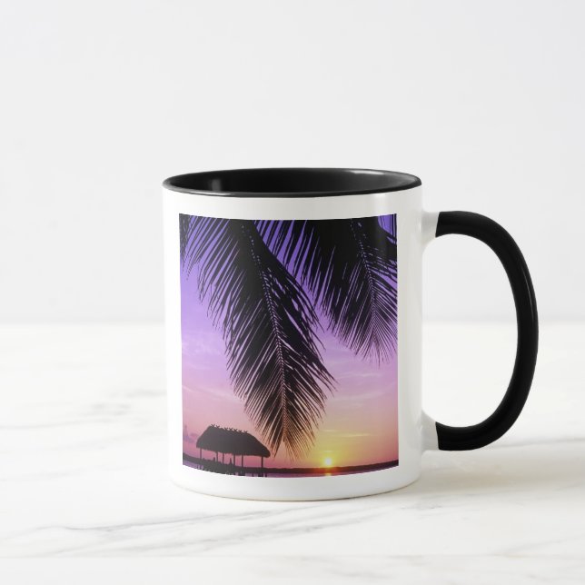 John Pennekamp State Park, Florida Keys, Key Mug (Right)