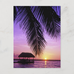 John Pennekamp State Park, Florida Keys, Key Postcard