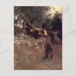 John Singer Sargent- Capri Girl Postcard