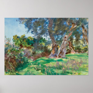 John Singer Sargent - Olive Trees, Corfu Poster