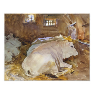 John Singer Sargent - Oxen Photo Print