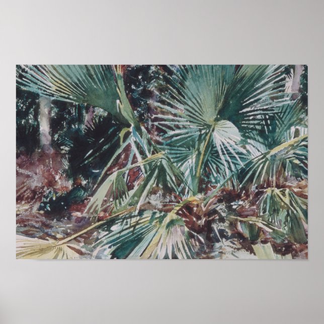 John Singer Sargent - Palmettos Poster (Front)