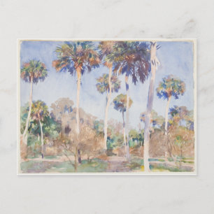 John Singer Sargent Watercolor - Palms Postcard