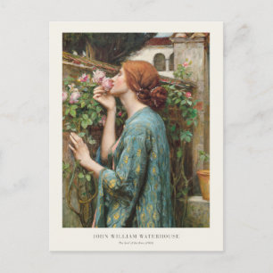 John William Waterhouse The Soul of the Rose 1908 Postcard