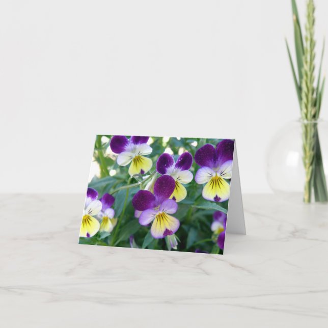 Johnny Jump-Ups Note Card (Front)