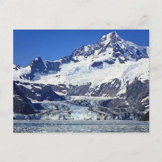 Johns Hopkins Glacier in Glacier Bay NP Postcard (Front)