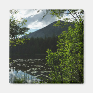 Johns Lake I at Glacier National Park Magnet