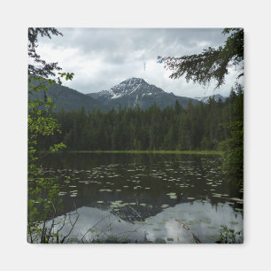 Johns Lake II at Glacier National Park Magnet