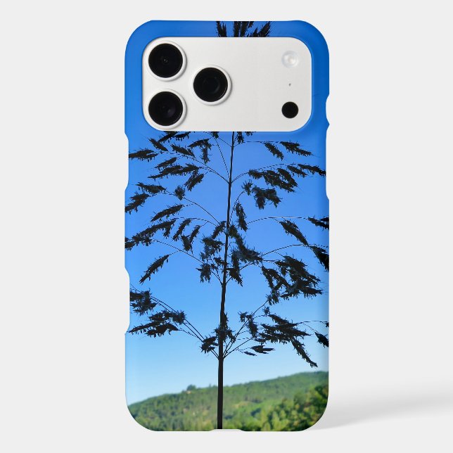 Johnson Grass (Back)