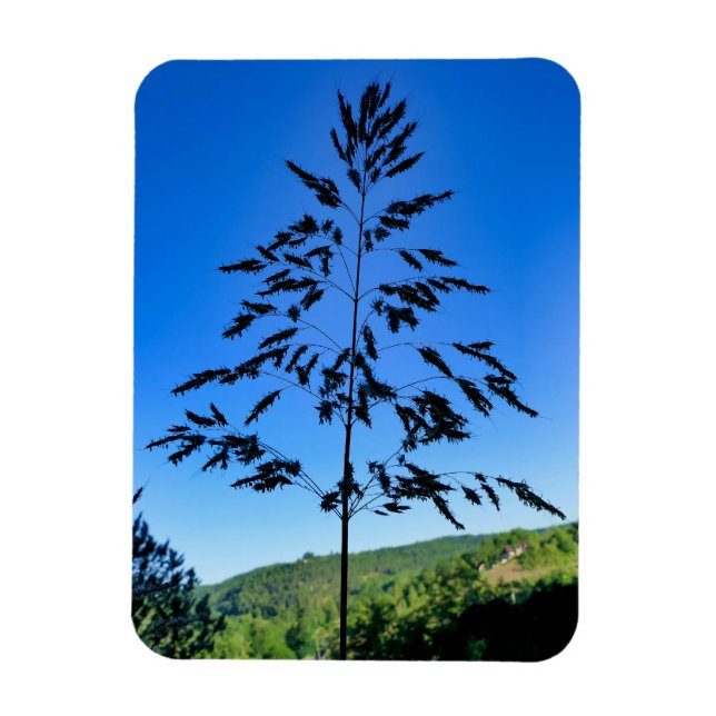 Johnson Grass Magnet (Vertical)