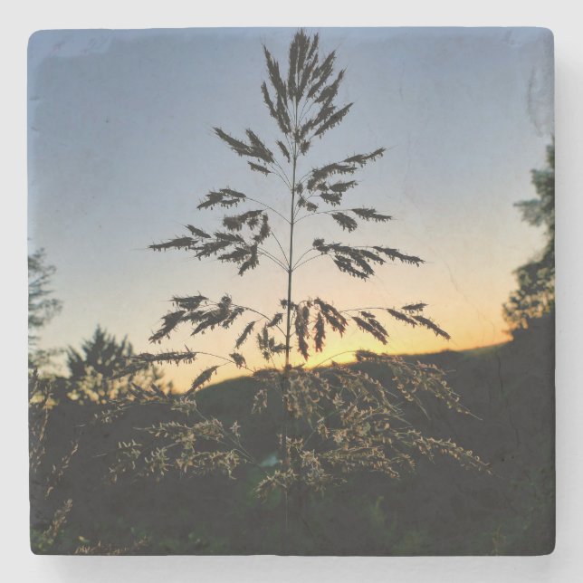 Johnson Grass Stone Coaster (Front)