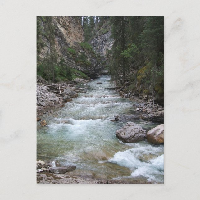 Johnston Canyon Step Falls Postcard (Front)