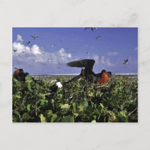 Johnston Island National Wildlife Refuge Postcard