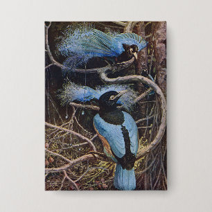Johnston Vintage Blue Bird Paradise Illustration