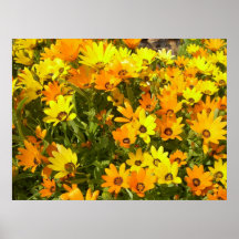 Joie de Vivre (1)  Poster