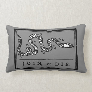Join Or Die Cartoon, 1754 Lumbar Cushion