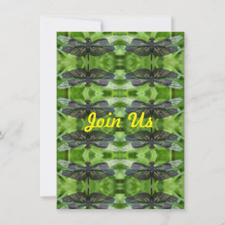 Join Us Dragonflies Invitation
