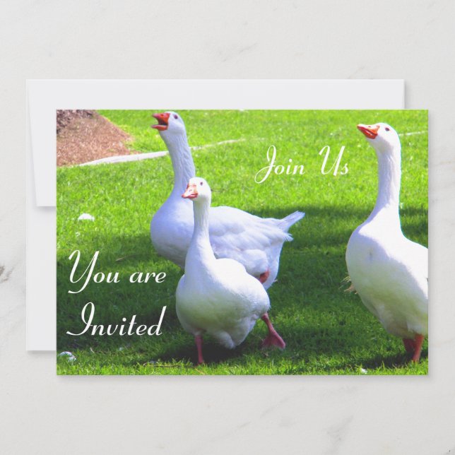 Join Us_ Invitation (Front)