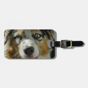 Joker Boy Luggage Tag