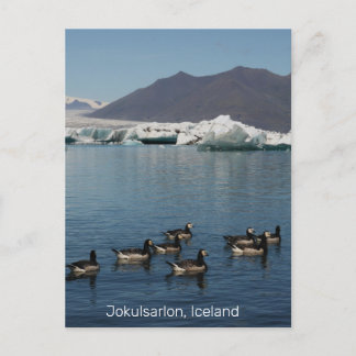 Jokulsarlon Iceland Postcard